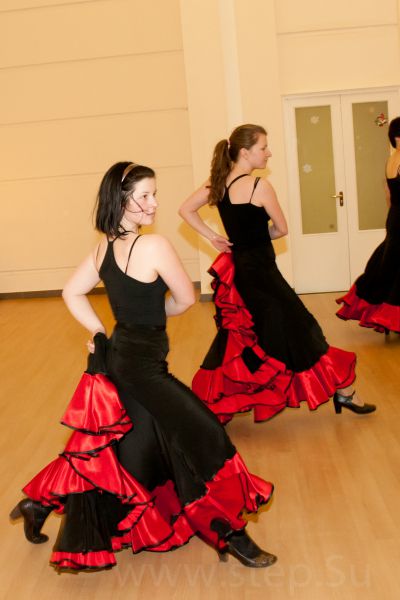  стильные движения испанского танца Нажмите, чтобы посмотреть в полный размер 