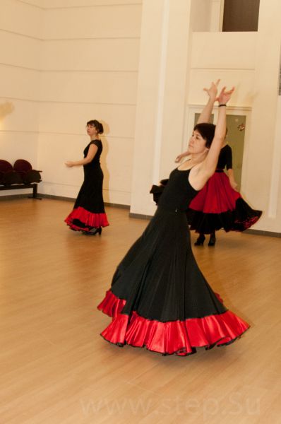  классические испанские танцевальные движения Нажмите, чтобы посмотреть в полный размер 